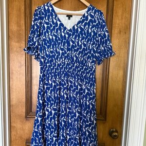 Women’s Dress